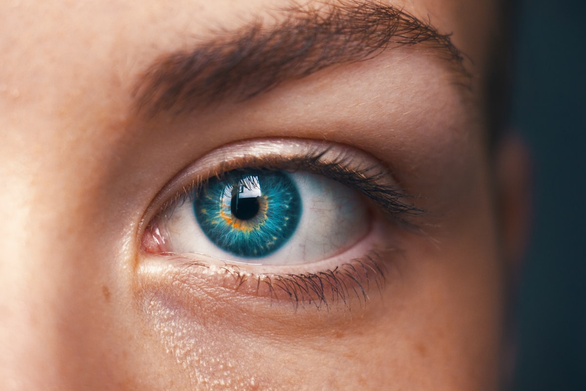 Alimentos para la salud ocular